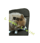 そして伝説が始まった…（個別スタンプ：26）