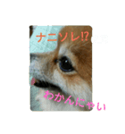そして伝説が始まった…（個別スタンプ：27）