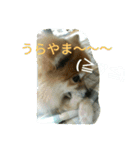 そして伝説が始まった…（個別スタンプ：28）