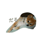 そして伝説が始まった…（個別スタンプ：30）