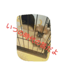 そして伝説が始まった…（個別スタンプ：33）