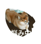 そして伝説が始まった…（個別スタンプ：35）