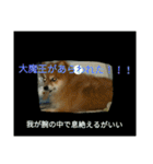 そして伝説が始まった…（個別スタンプ：36）