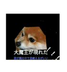 そして伝説が始まった…（個別スタンプ：37）