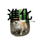 そして伝説が始まった…（個別スタンプ：39）
