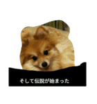 そして伝説が始まった…（個別スタンプ：40）