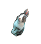 Rabbit ..（個別スタンプ：3）
