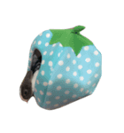 Rabbit ..（個別スタンプ：7）
