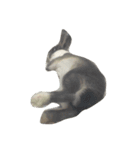 Rabbit ..（個別スタンプ：11）