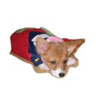 Animals m（個別スタンプ：5）
