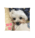 A dog named Wan Wan（個別スタンプ：1）