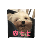 A dog named Wan Wan（個別スタンプ：8）