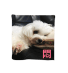 A dog named Wan Wan（個別スタンプ：13）