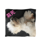 A dog named Wan Wan（個別スタンプ：15）