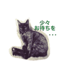 はじめまして、きなこです( ΦωΦ )（個別スタンプ：22）