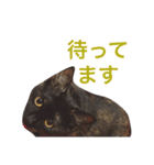 はじめまして、きなこです( ΦωΦ )（個別スタンプ：23）