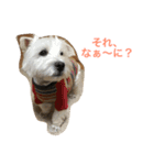 うちのwan子たち（個別スタンプ：9）
