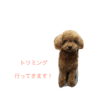 うちのwan子たち（個別スタンプ：10）