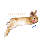 うー太のふわもこ日常（個別スタンプ：1）