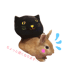 うー太のふわもこ日常（個別スタンプ：3）