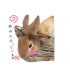 うー太のふわもこ日常（個別スタンプ：7）