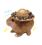 うー太のふわもこ日常（個別スタンプ：8）