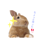 うー太のふわもこ日常（個別スタンプ：9）