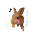 うー太のふわもこ日常（個別スタンプ：10）