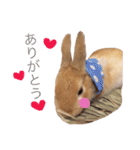 うー太のふわもこ日常（個別スタンプ：22）