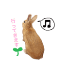 うー太のふわもこ日常（個別スタンプ：23）