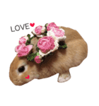 うー太のふわもこ日常（個別スタンプ：24）