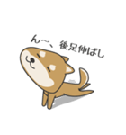 柴犬 NANA（個別スタンプ：2）