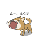柴犬 NANA（個別スタンプ：3）