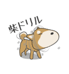柴犬 NANA（個別スタンプ：4）