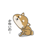 柴犬 NANA（個別スタンプ：5）