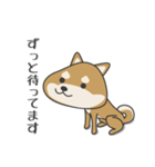 柴犬 NANA（個別スタンプ：6）