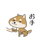 柴犬 NANA（個別スタンプ：7）