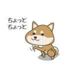 柴犬 NANA（個別スタンプ：8）