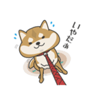 柴犬 NANA（個別スタンプ：12）