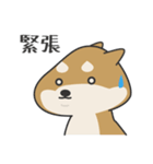 柴犬 NANA（個別スタンプ：13）