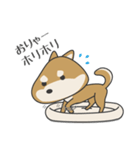 柴犬 NANA（個別スタンプ：14）