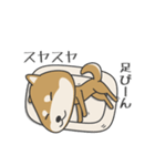 柴犬 NANA（個別スタンプ：15）