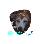 ナナミ（個別スタンプ：1）