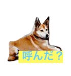 ナナミ（個別スタンプ：2）