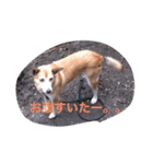 ナナミ（個別スタンプ：3）