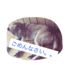 ナナミ（個別スタンプ：7）