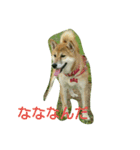 楽しいふく散歩（個別スタンプ：3）