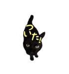 リアルにゃんこ♡（個別スタンプ：9）