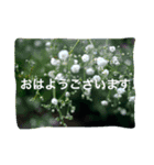 Flow2（個別スタンプ：5）