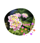 Flow2（個別スタンプ：8）